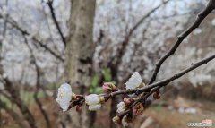 吾爱花坊传递了哪些信息？