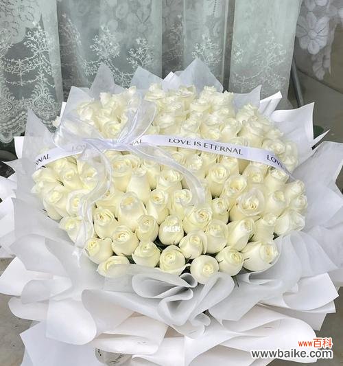 探寻白色玫瑰的意义与象征 白色玫瑰的花语