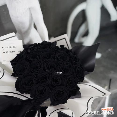 黑色玫瑰的花语和象征意义是什么？
