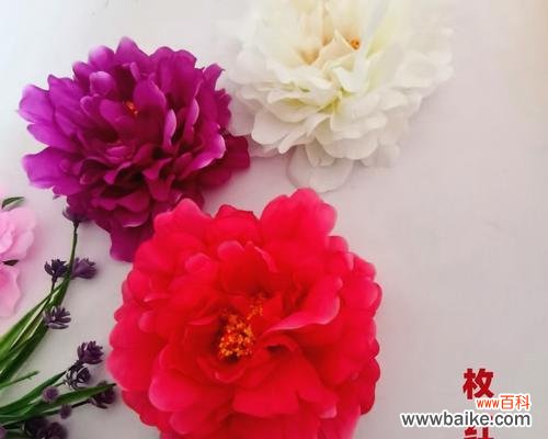 红色花杆在花卉装饰中的特殊意义是什么？