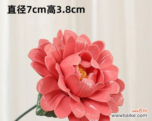 红色花杆在花卉装饰中的特殊意义是什么？