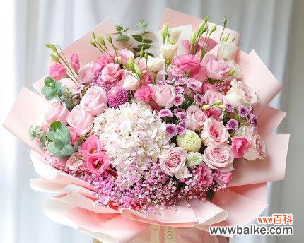 粉绣球花代表了什么？