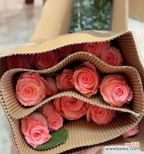 戴安娜玫瑰搭配哪种花最有意义？组合花语是什么？