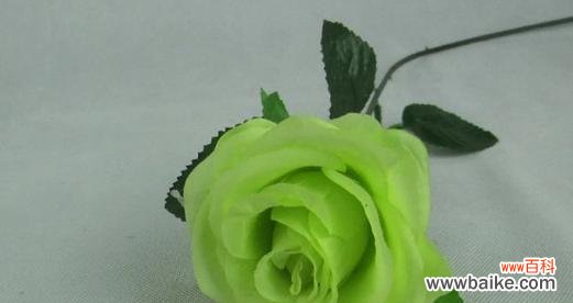 复古绿色花朵的花语是什么？复古绿色花朵代表什么？