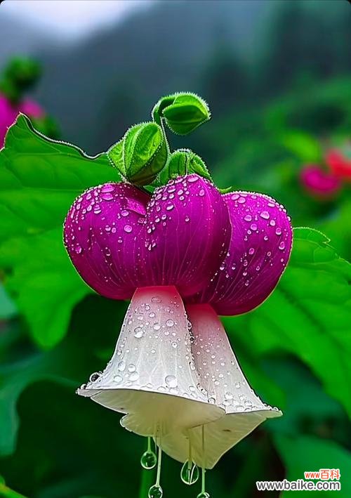 复古绿色花朵的花语是什么？复古绿色花朵代表什么？