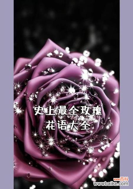 花颠在园艺中的含义是什么？