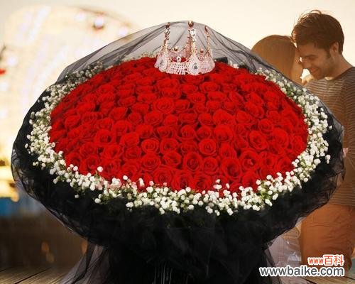 以表示道歉的花为主题,向对方传达真挚的歉意 道歉的花语——用花表达内心的歉意