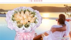 云花的寓意是什么？云花代表什么含义？