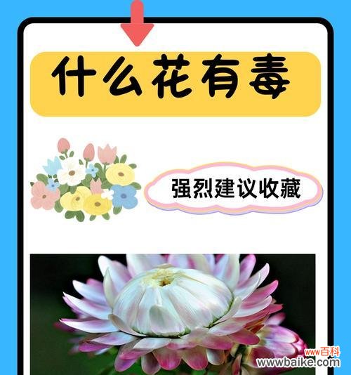 预示好结果的花有哪些？它们的象征意义是什么？