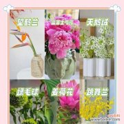 装修时选择寓意好的花有哪些？如何用花卉美化家居？