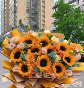 未来象征的鲜花有哪些？它们各自代表了什么？