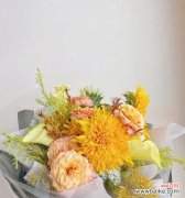 泰迪向日葵的花语是什么？适合送给哪些人？