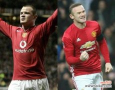 红魔鲁尼的象征花是什么？它们的含义是什么？