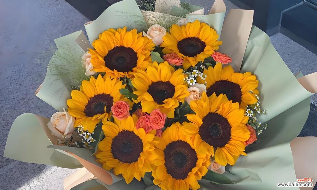 花好的寓意有哪些？花卉语言中隐藏的祝福是什么？