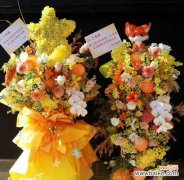 哪些花代表真诚？在赠送时应注意什么？