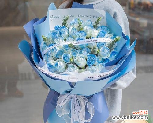 星辰大海花的含义是什么?星辰大海花象征着什么?