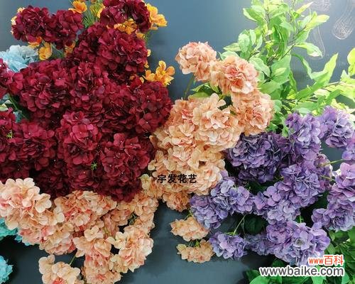 绿白黄三色花的含义是什么?它们在花艺设计中的意义是什么?