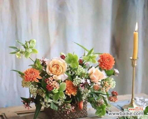 绿白黄三色花的含义是什么?它们在花艺设计中的意义是什么?