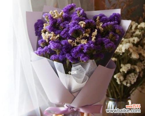 以不同颜色勿忘我解读真爱、纯洁和思念 勿忘我的花语之多彩缤纷