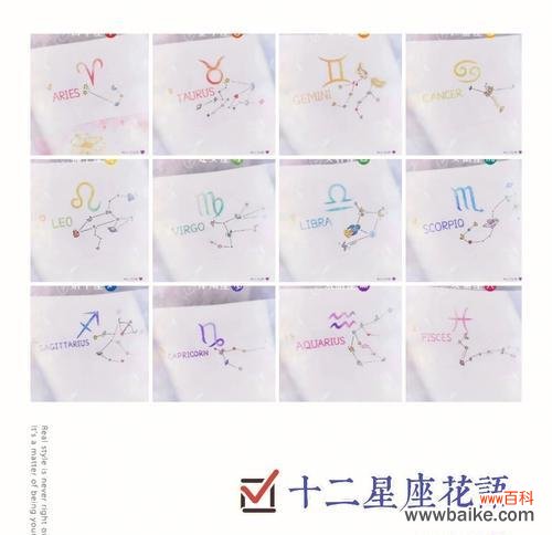 十二月花语有哪些独特含义？十二月花语代表什么？