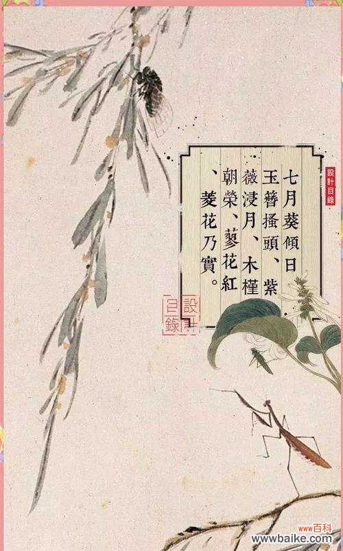 十二月花语有哪些独特含义？十二月花语代表什么？