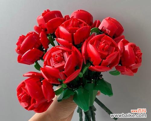 以表示敬意的花语，传递美好情感 花语敬意，一束花传递心意