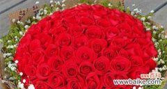 传递爱意 12朵玫瑰的花语