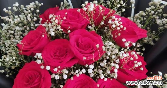 解读14朵玫瑰所代表的花语 浪漫花语