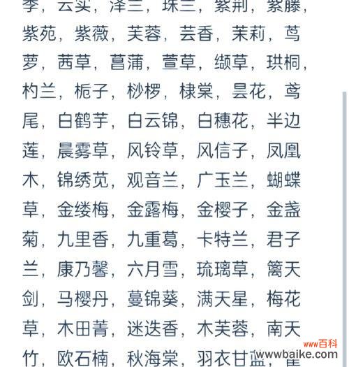 象征回来的花朵及其花名是什么？