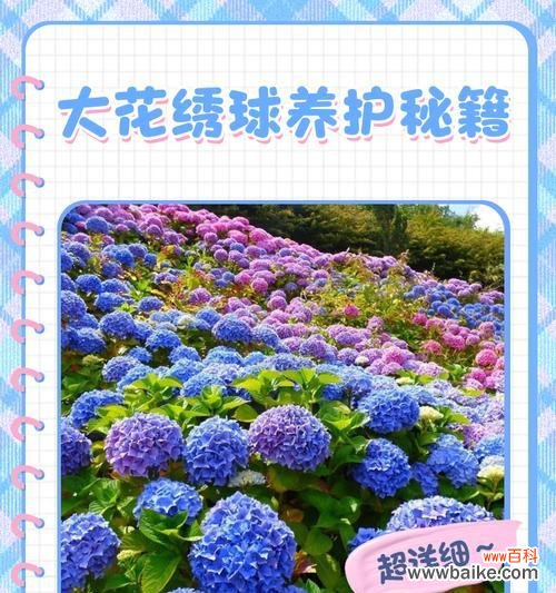 毒辣象征的花有哪些?代表危险毒性的花卉是什么?