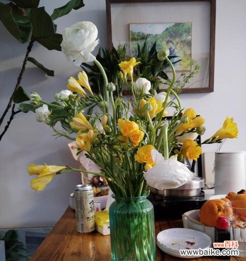 陪伴是生命中的永恒存在，这些花告诉你如何表达你的陪伴之心 花语中的陪伴之花——深入探索表示陪伴的花的花语