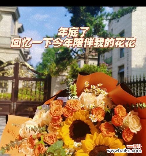 陪伴是生命中的永恒存在，这些花告诉你如何表达你的陪伴之心 花语中的陪伴之花——深入探索表示陪伴的花的花语