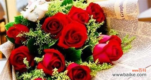 探秘红玫瑰所传递的情感与寓意 20朵红玫瑰的花语与意义