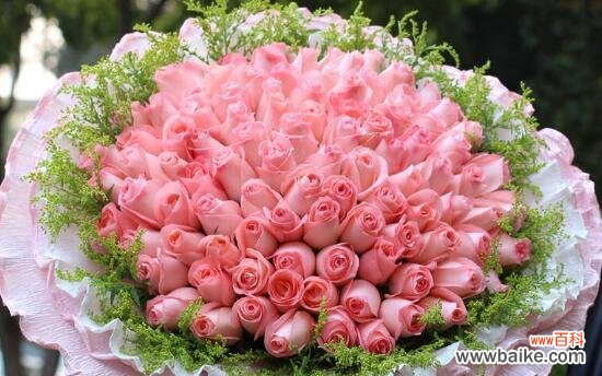 浪漫、深情、无尽爱意 26朵玫瑰花语的含义揭秘