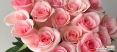 玫瑰花传递的浪漫和情感 解读30朵玫瑰花语的深意