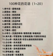 丁香花花语含义与象征意义