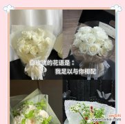 花语表达心情的句子是什么？如何用花语表达情感？