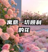 花象征意义与人思想的关联是什么？