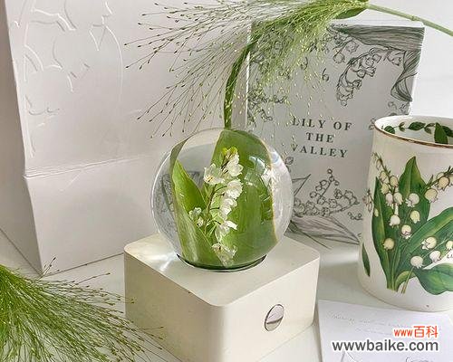 花形小夜灯有何寓意？它们在家居装饰中有何作用？