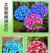 花形小夜灯有何寓意？它们在家居装饰中有何作用？