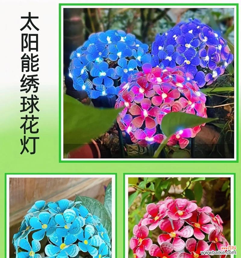 花形小夜灯有何寓意？它们在家居装饰中有何作用？