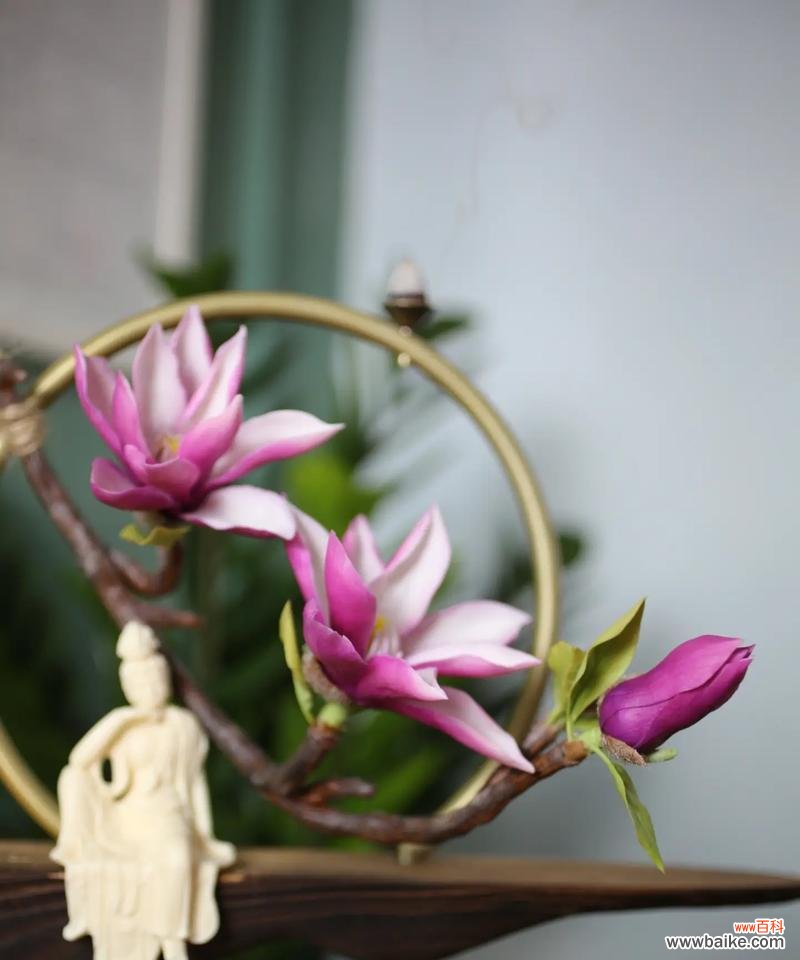 手工花中寓意美好的花有哪些?