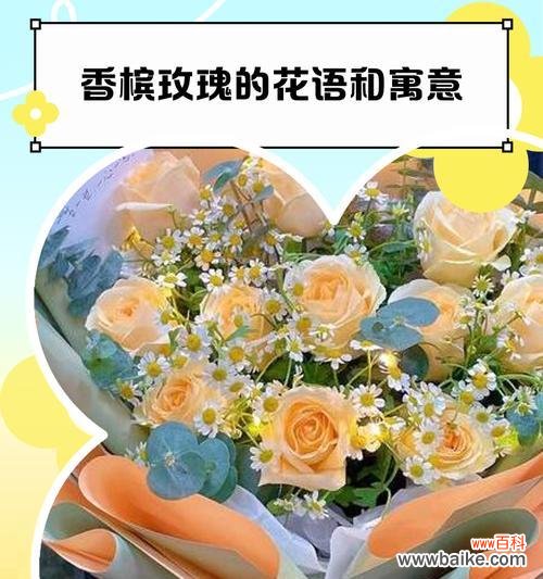 香槟玫瑰花语代表什么?象征了哪些意义?