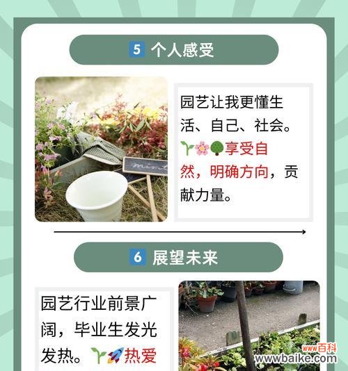 哪些花卉代表坚定和决心?它们在园艺中如何应用?
