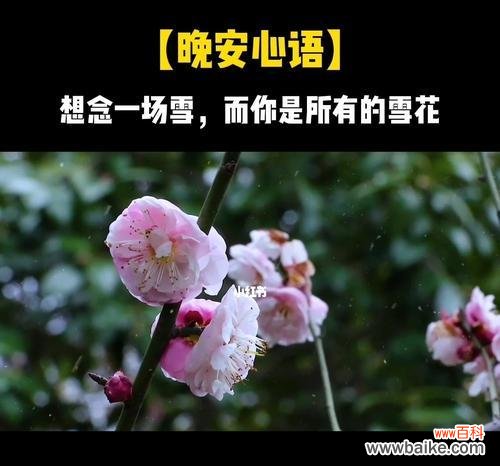 以花语为纽带，述说思念之情 花开花落，想念留存
