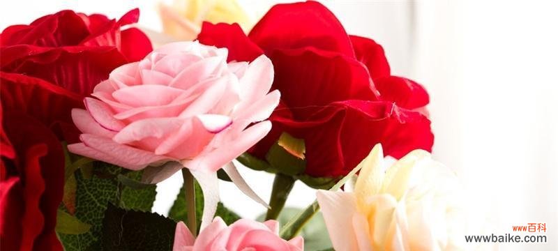 以花为语，迎接新生活 花开新生，盛放希望