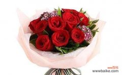 爱的承诺与真情告白 浪漫的玫瑰花语——56朵玫瑰代表的意义