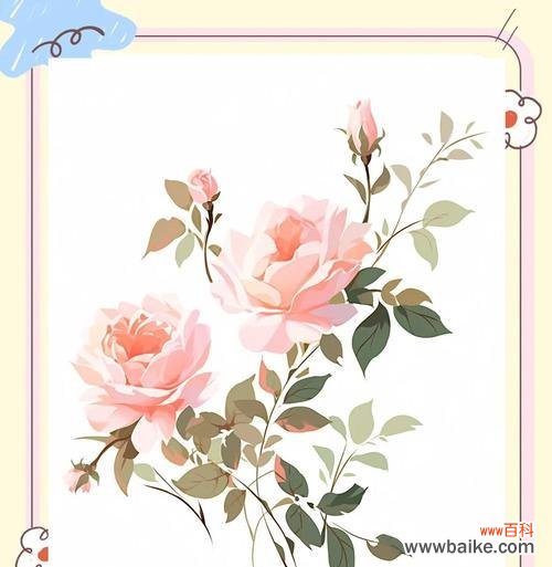 初恋的花语有哪些？哪种花代表初恋？