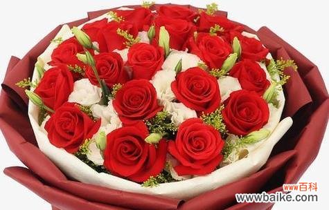 19朵玫瑰代表什么含义?花语背后的爱情故事是什么?