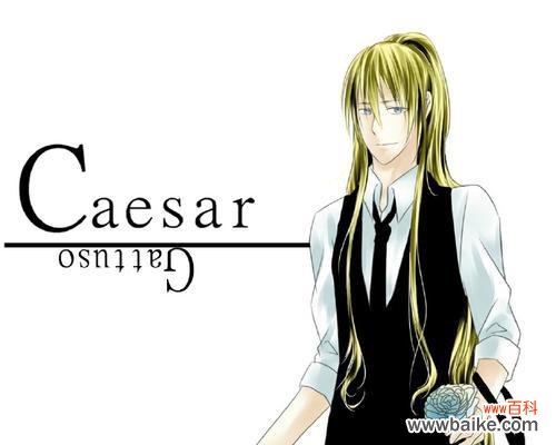 花在龙族文化中的象征意义是什么？